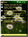 Daisies theme